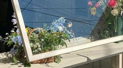 @sshinyuverse ★ 04:02 PM